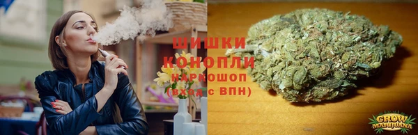 крисы Богородицк