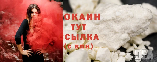 крисы Богородицк