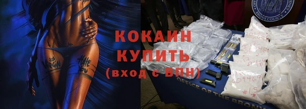 прущий лед Богданович