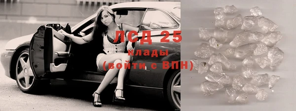 прущий лед Богданович