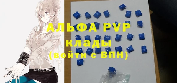 крисы Богородицк