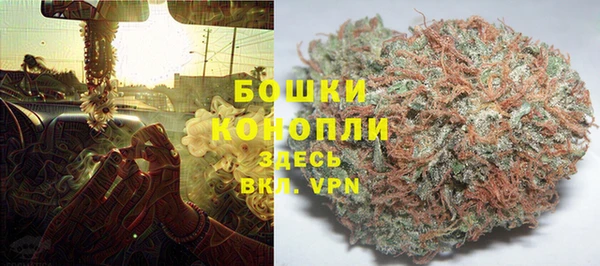 прущий лед Богданович