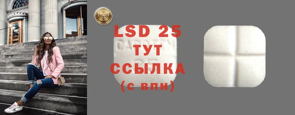 крисы Богородицк