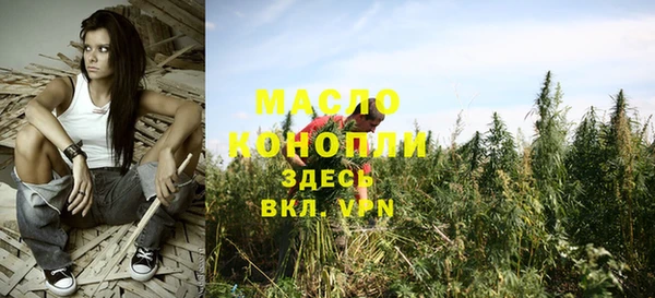 прущий лед Богданович