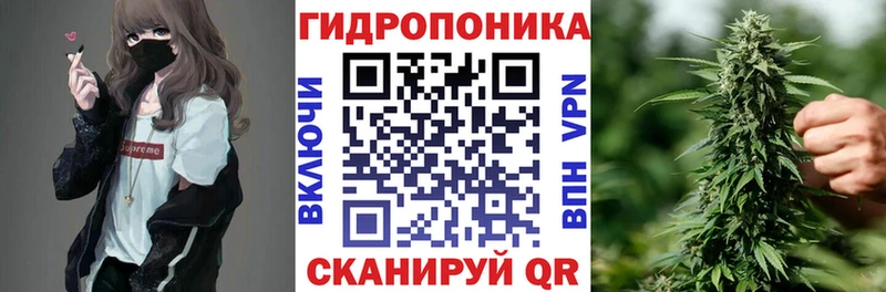 Купить закладки  Нововоронеж  Канабис SATIVA & INDICA 